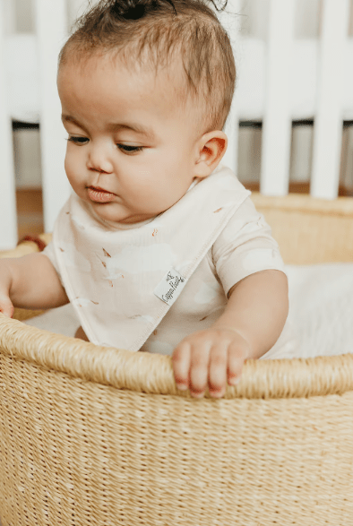 Copper Pearl Baby Fischer Bandana Bib Set (4-Pack)