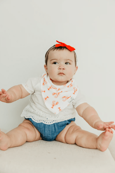 Copper Pearl Baby Fischer Bandana Bib Set (4-Pack)