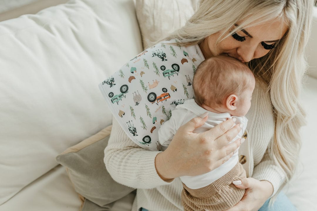 Copper Pearl Burp Cloth Jo Burp Cloth Set