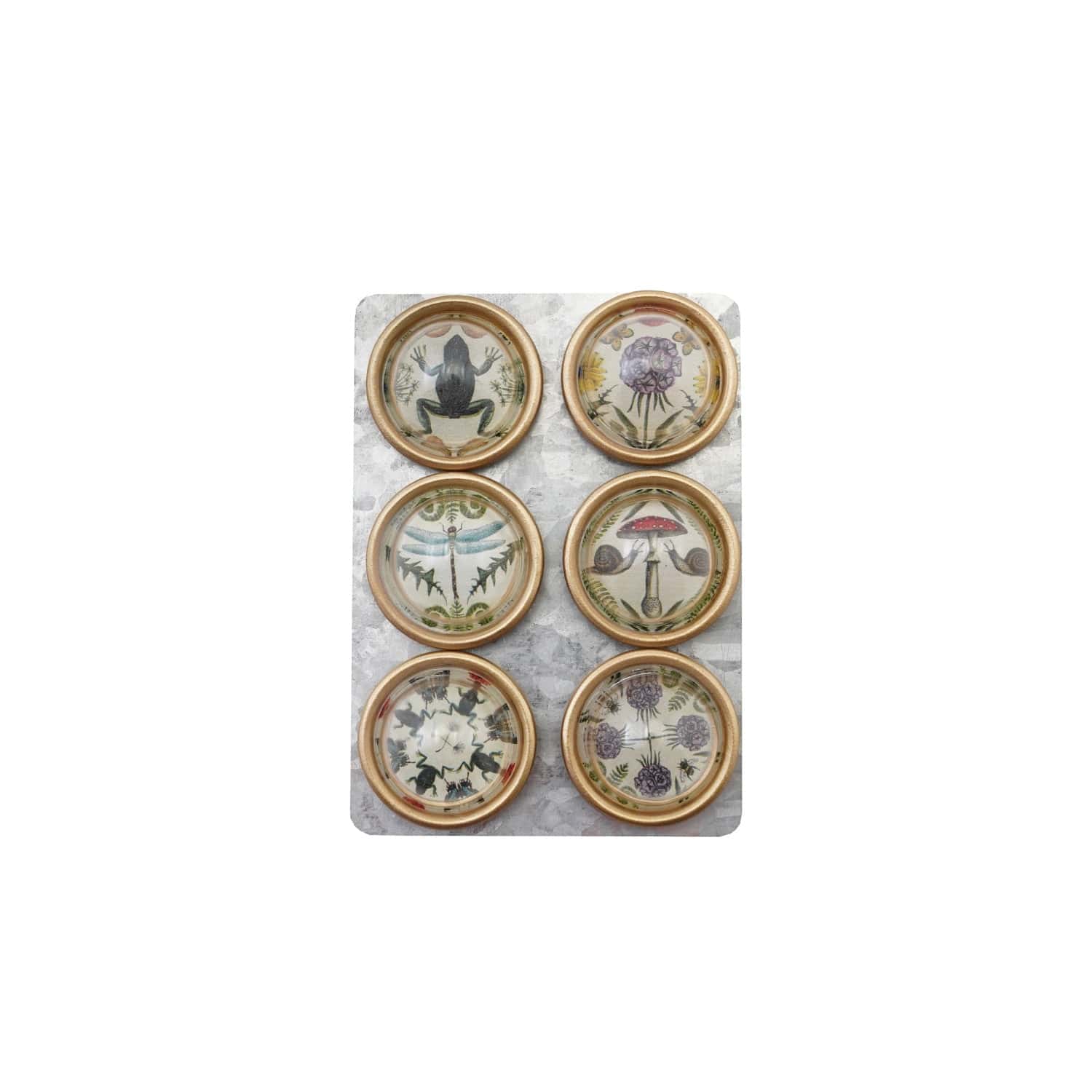 Creative Coop Home Resin Convex Magnets on Metal Card with Animals & Botanicals & Gold Finish