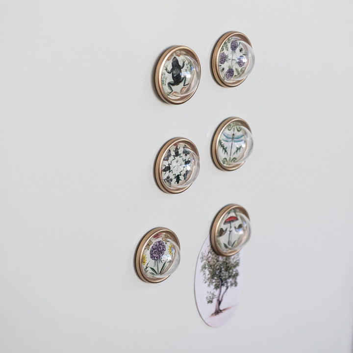 Creative Coop Home Resin Convex Magnets on Metal Card with Animals & Botanicals & Gold Finish