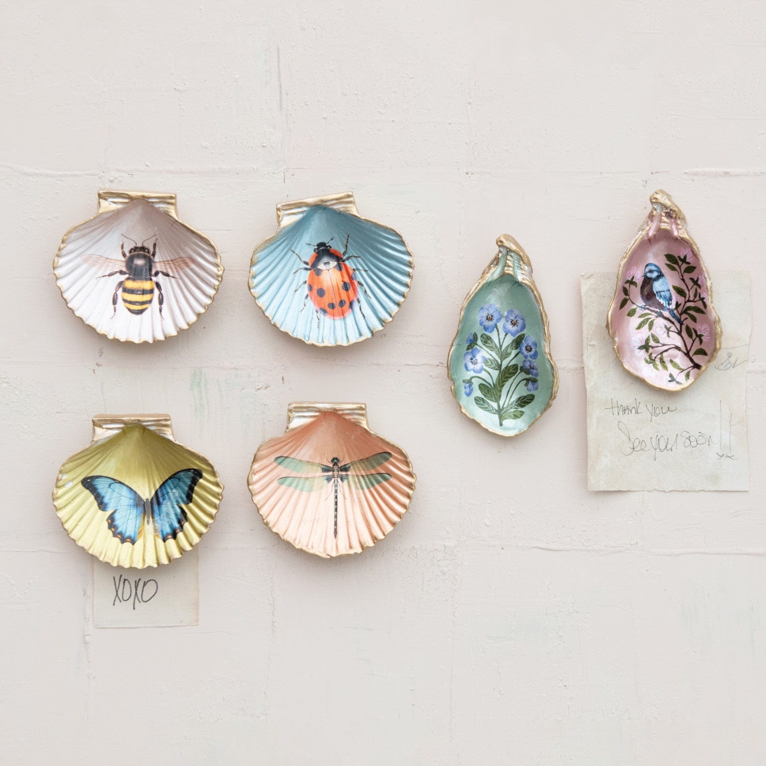 Creative Coop Home Resin Shell Shaped Magnet with Flora/Fauna Image
