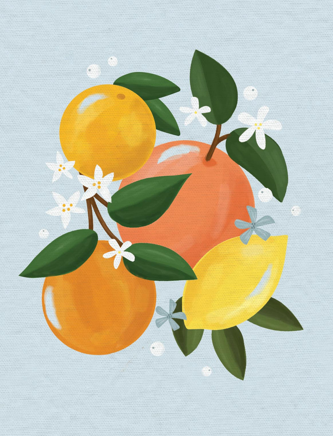 Design Design Cards Freshly Squeezed Blank Boxed Note Cards