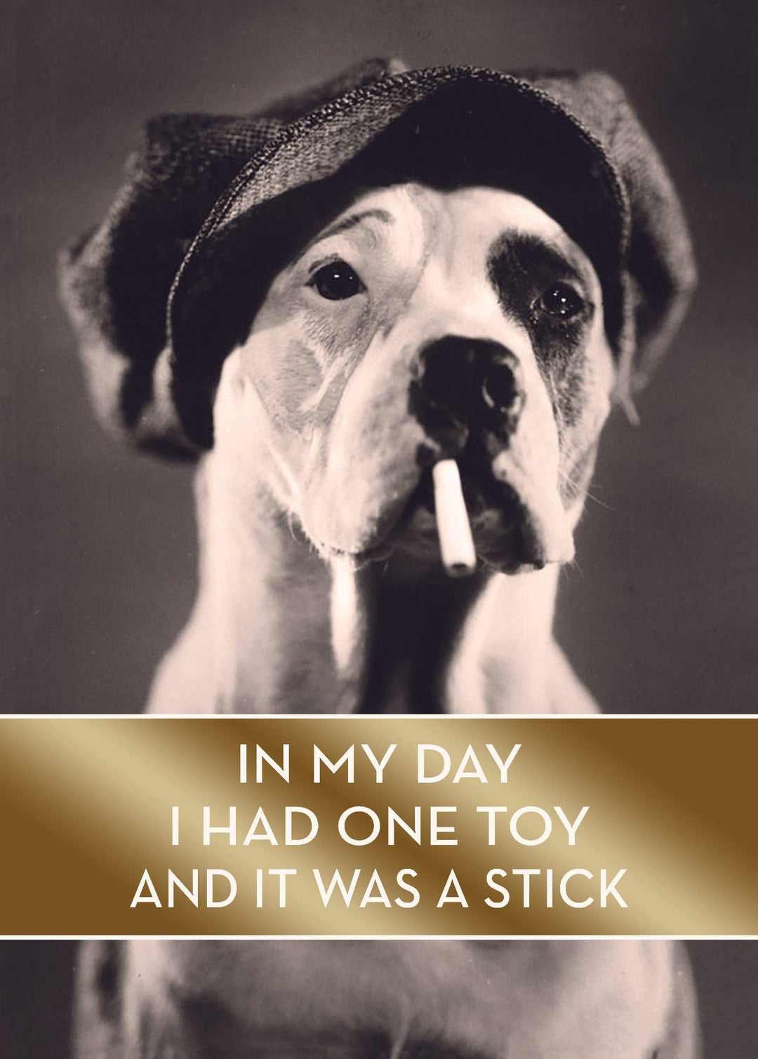 Design Design Cards In My Day Dog Greeting Card
