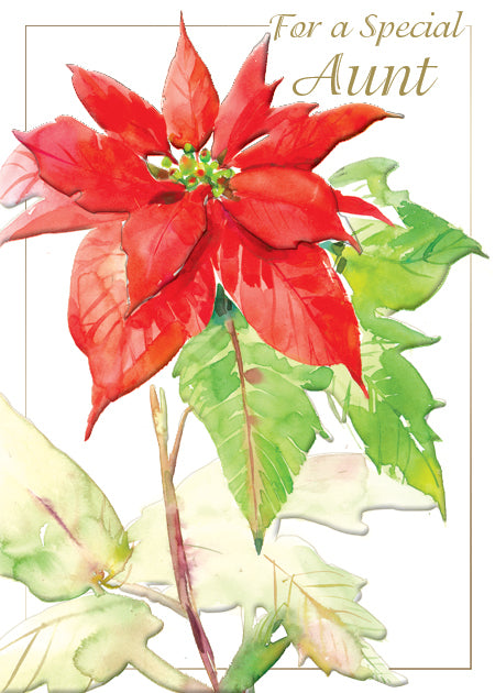 Design Design Cards Poinsettia Aunt Greeting Card