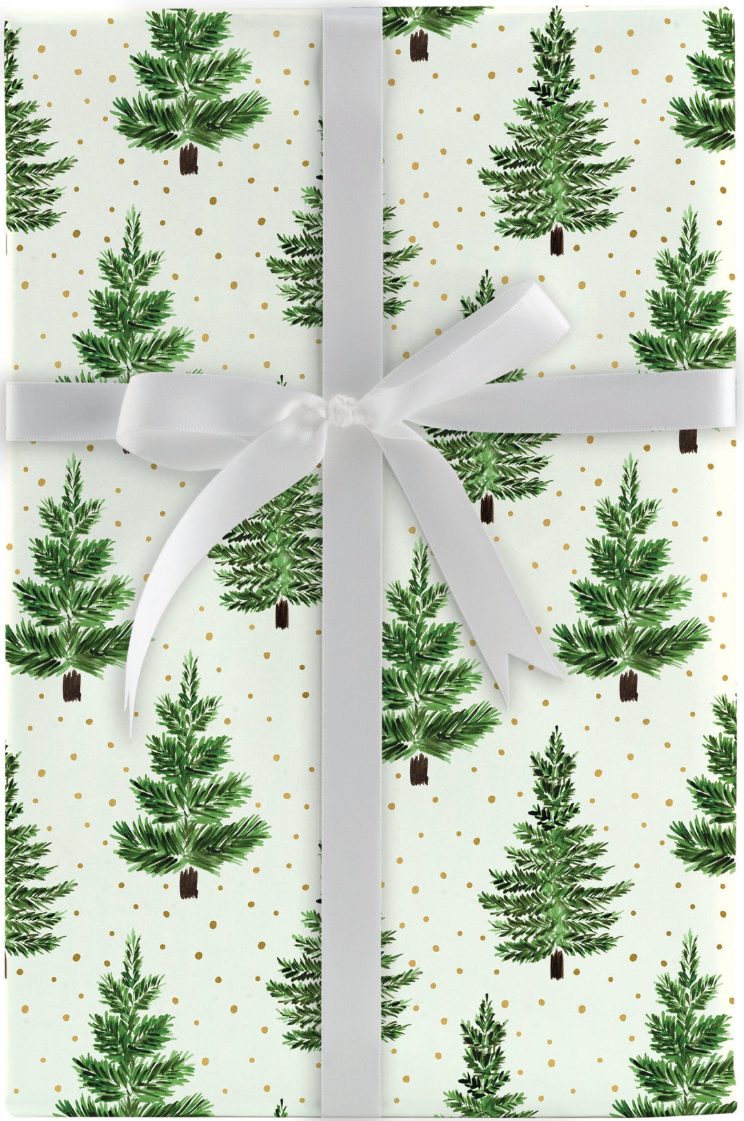 Design Design gift wrap Pine Botanical Gift Wrap Roll - 10ft