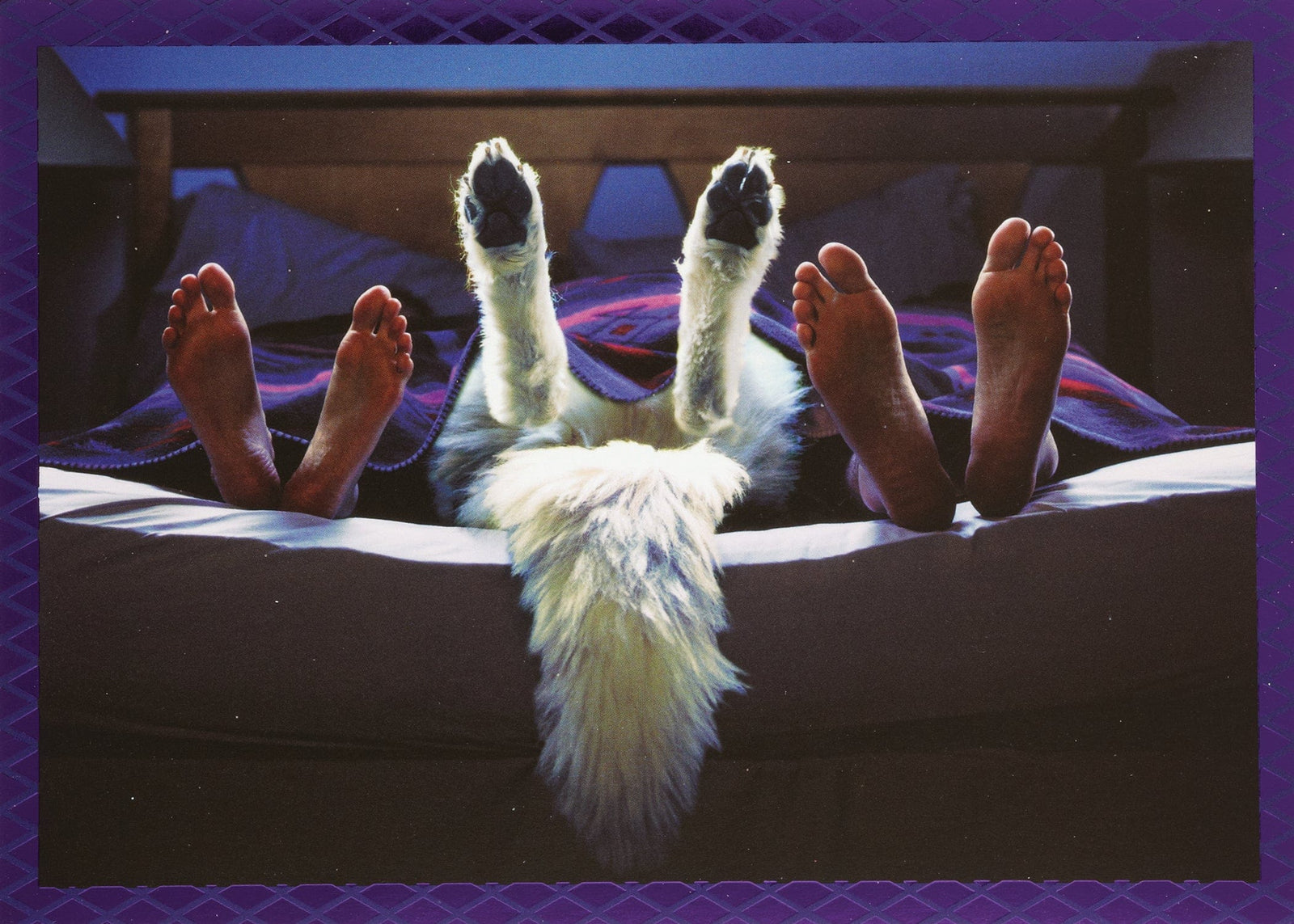 Design Design Greeting Card Sleeping Feet Greeting Card