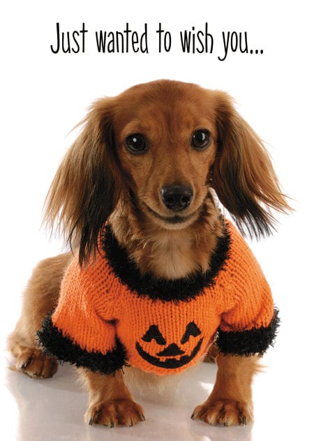 Design Design Holiday Puppy in Pumpkin Sweater Greeting Card
