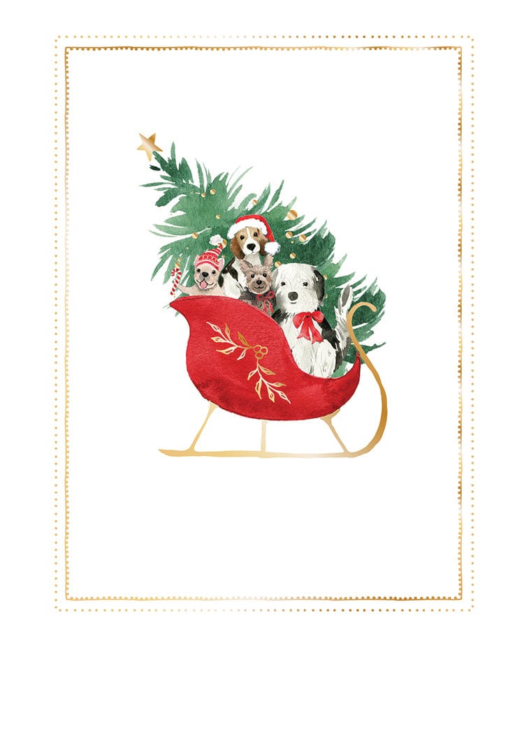 Design Design Holiday Pups in Sleigh Boxed Greeting Cards