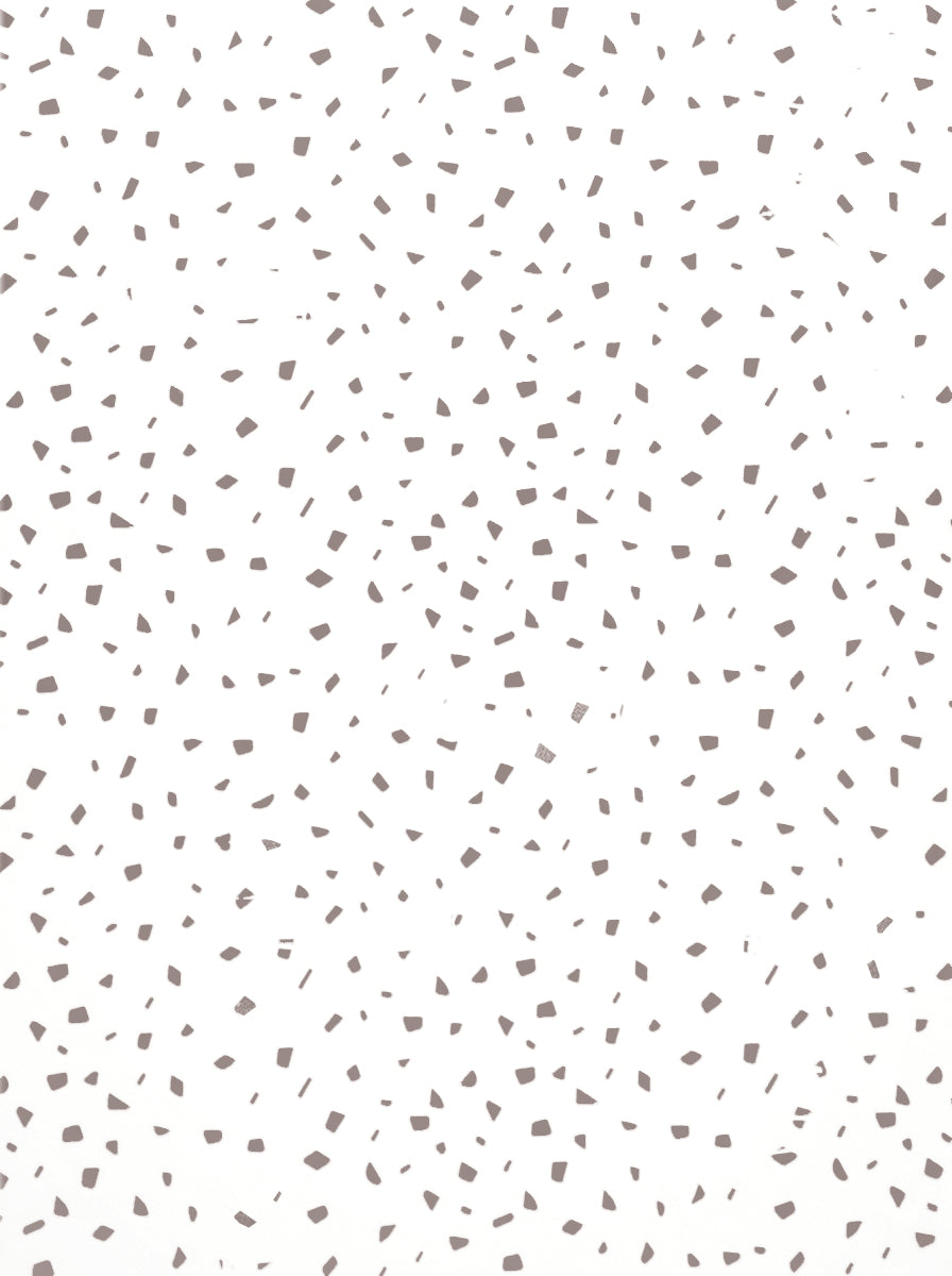 Design Design Holiday Silver Flecks Foil Tissue Paper
