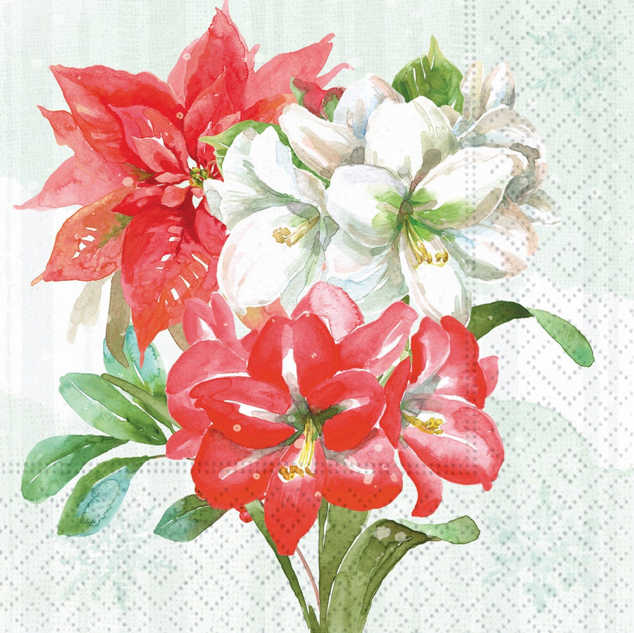 Design Design Napkins Poinsettia Traditions Beverage Napkins