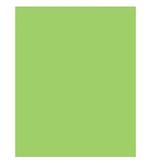 Design Design Tissue Paper Citrus Green Solid Gift Tissue