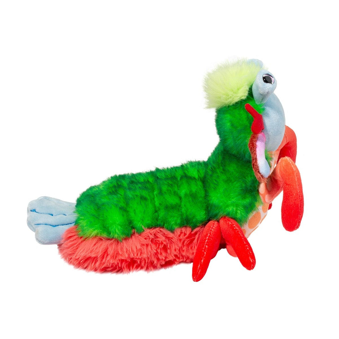 Douglas Gifts Punchie Mantis Shrimp | Douglas