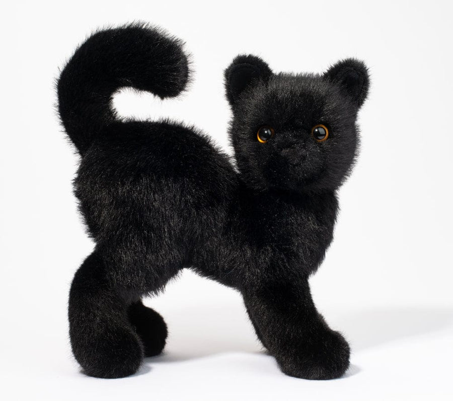 Douglas Plush Toy Scaredy Black Cat | Douglas