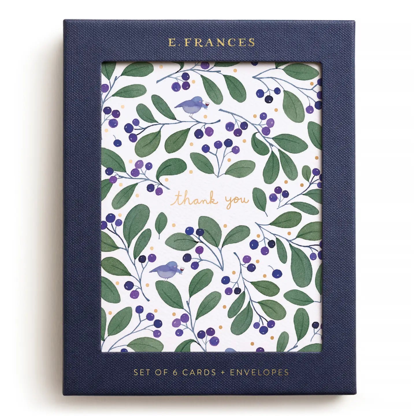 E. Frances Paper Cards Chirps and Cheers Boxed Card Set