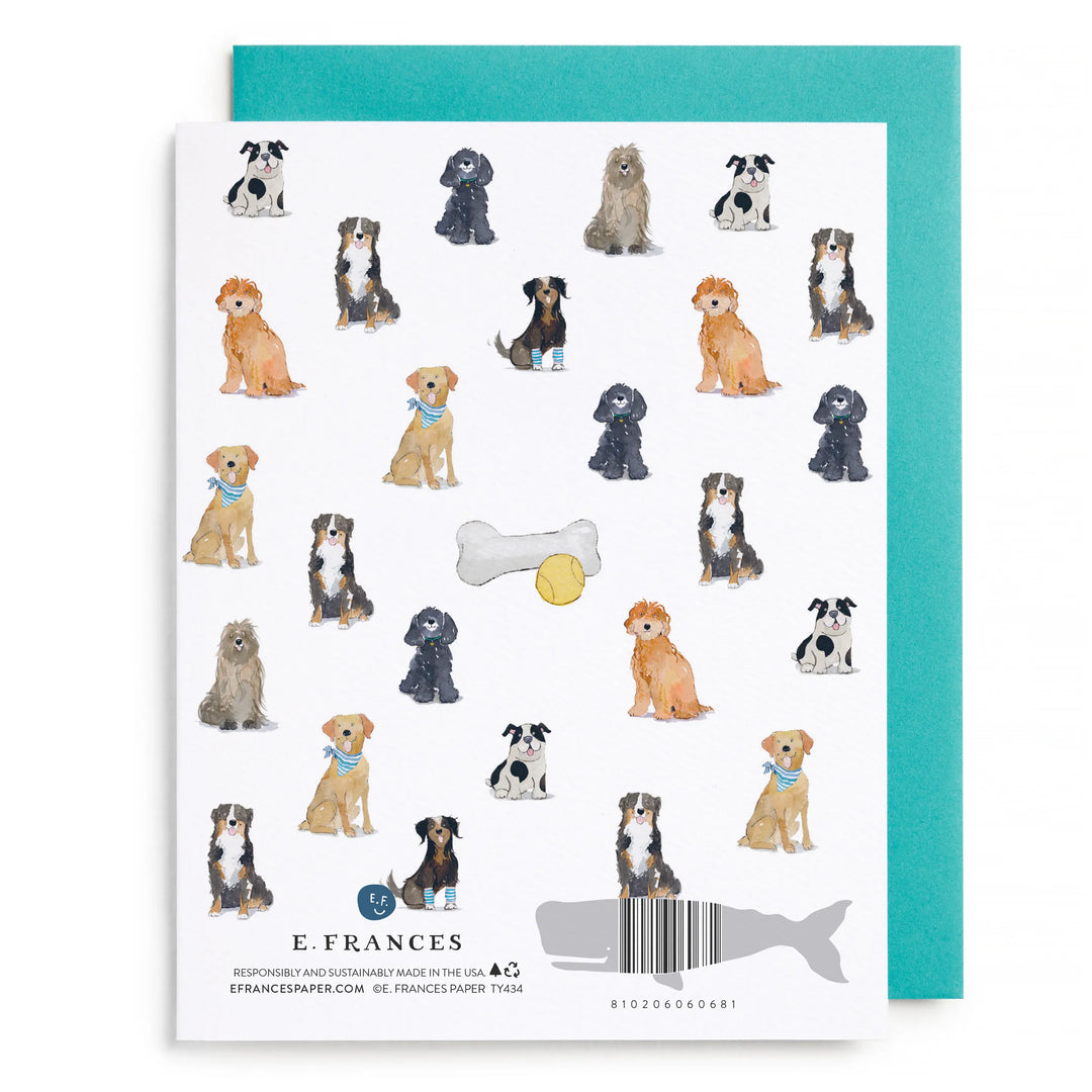E. Frances Paper Cards Doggy Thank You Greeting Card