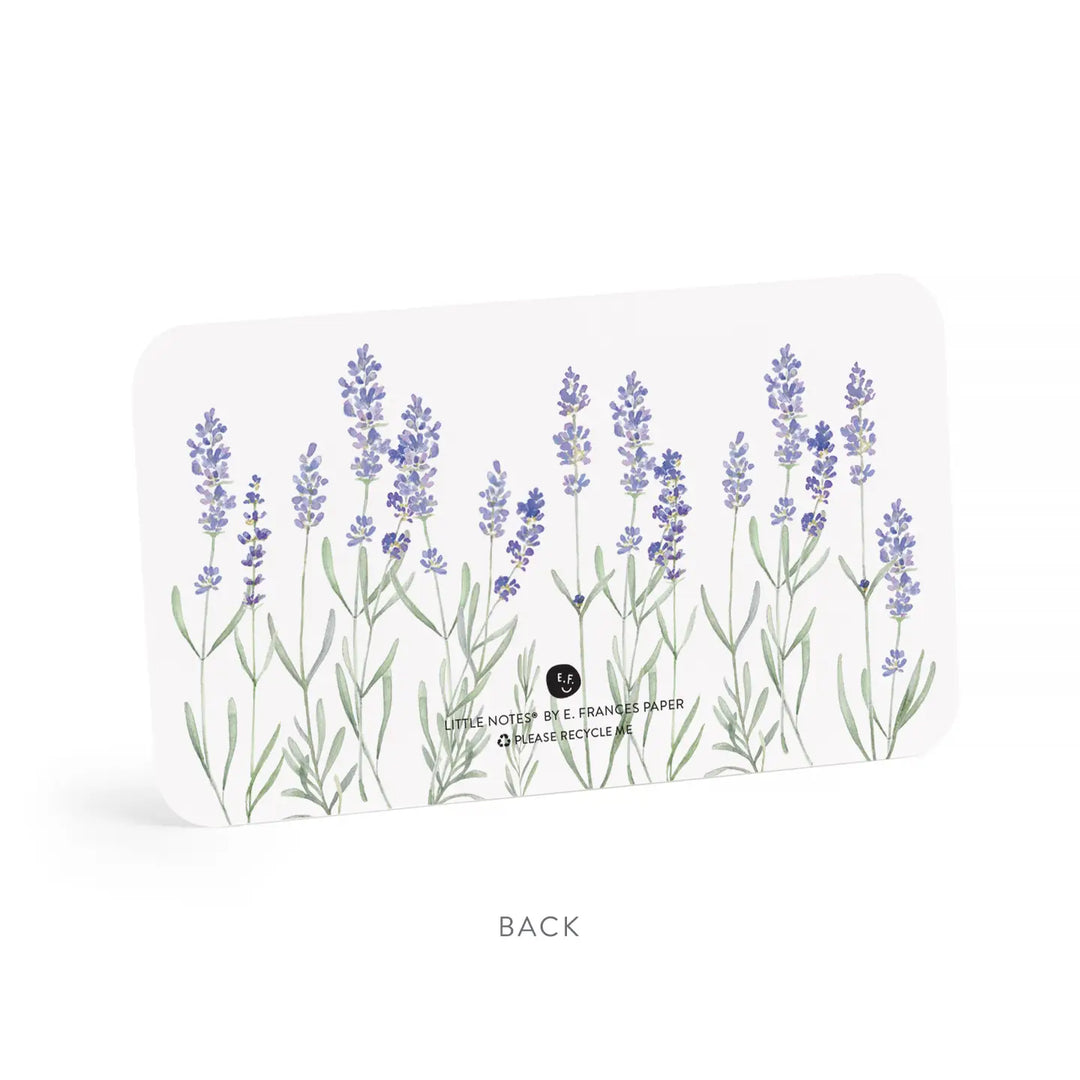 E. Frances Paper Cards Lavender Little Notes