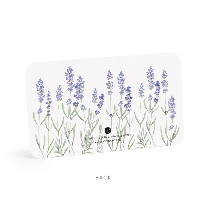 E. Frances Paper Cards Lavender Little Notes