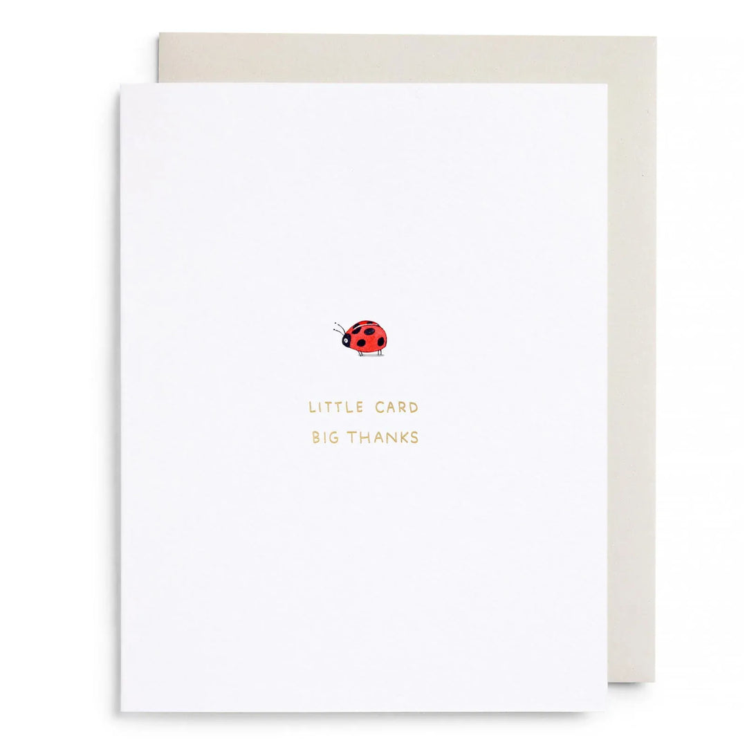 E. Frances Paper Cards Little Card Big Thanks Boxed Card Set
