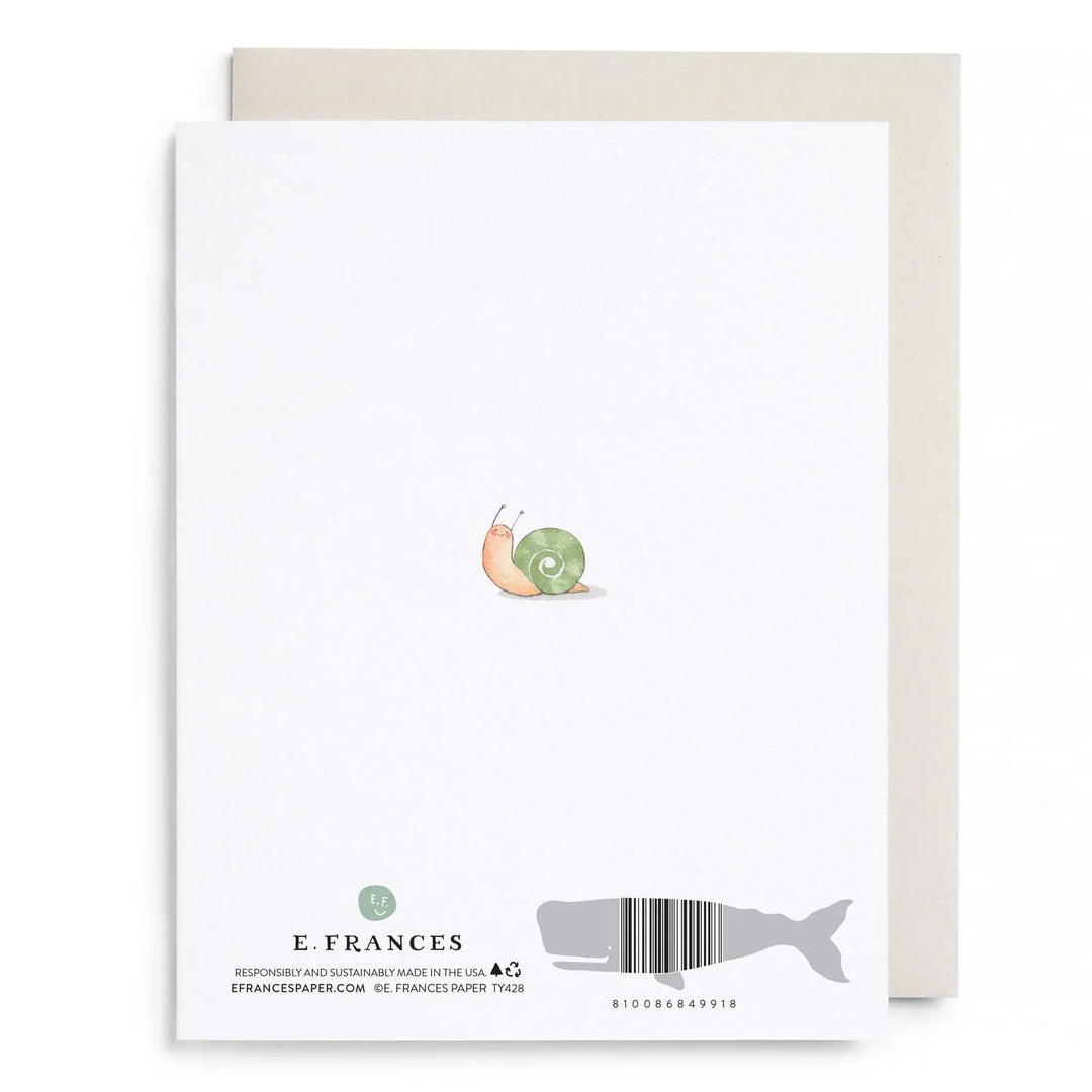 E. Frances Paper Cards Little Card Big Thanks Boxed Card Set
