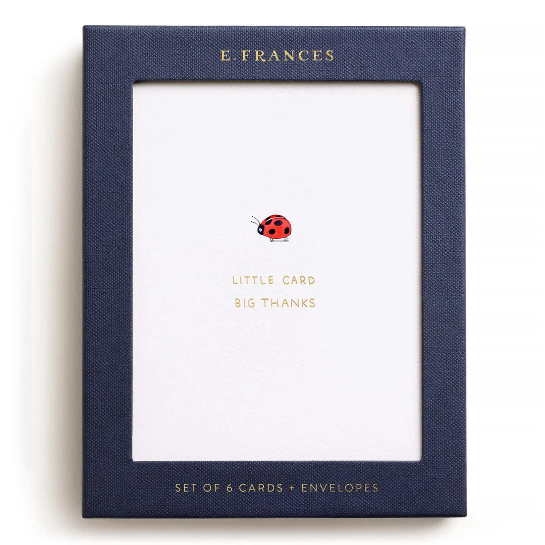 E. Frances Paper Cards Little Card Big Thanks Boxed Card Set