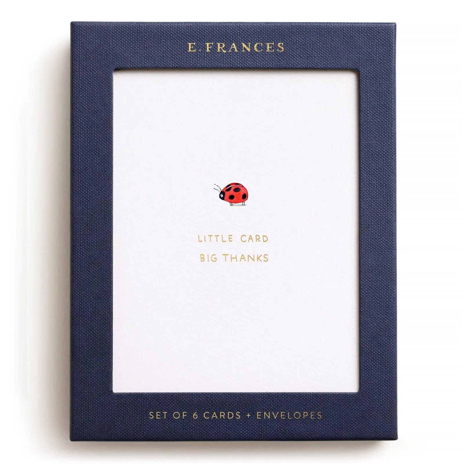 E. Frances Paper Cards Little Card Big Thanks Boxed Card Set