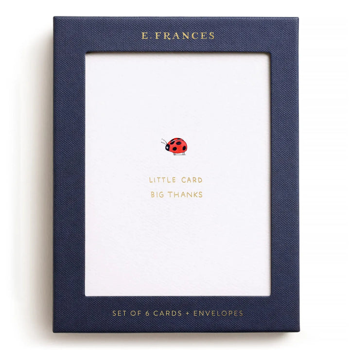 E. Frances Paper Cards Little Card Big Thanks Boxed Card Set