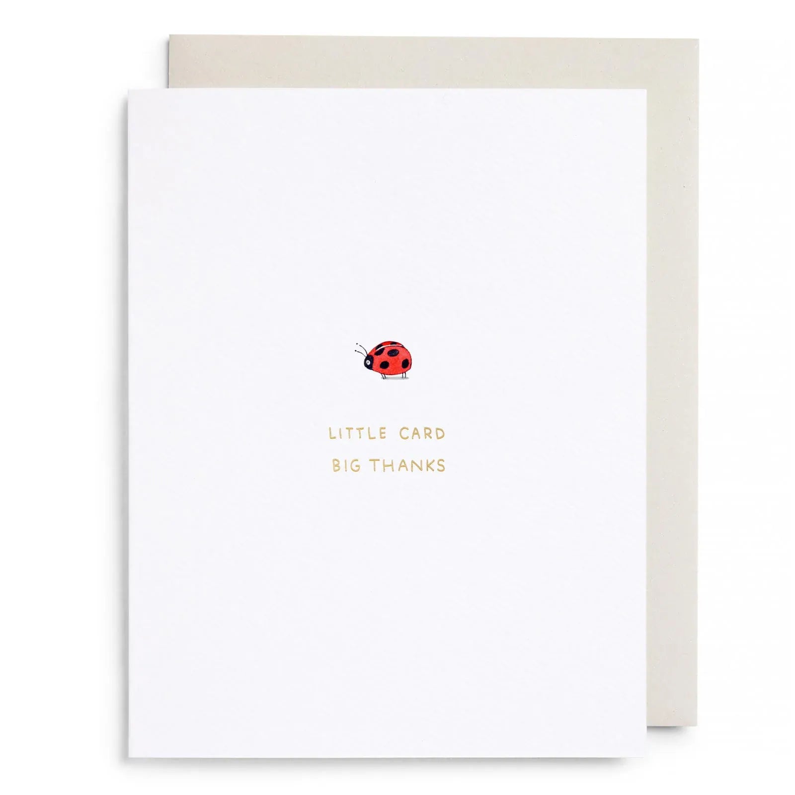 E. Frances Paper Cards Little Card Big Thanks Greeting Card