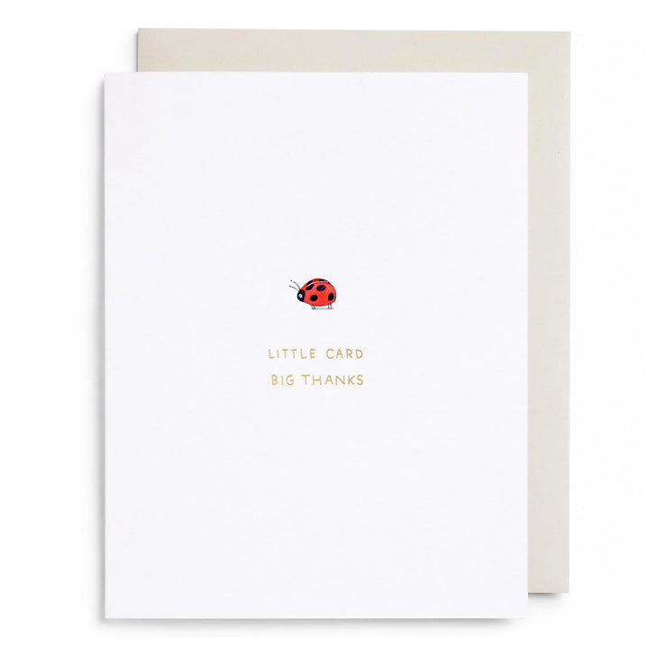 E. Frances Paper Cards Little Card Big Thanks Greeting Card