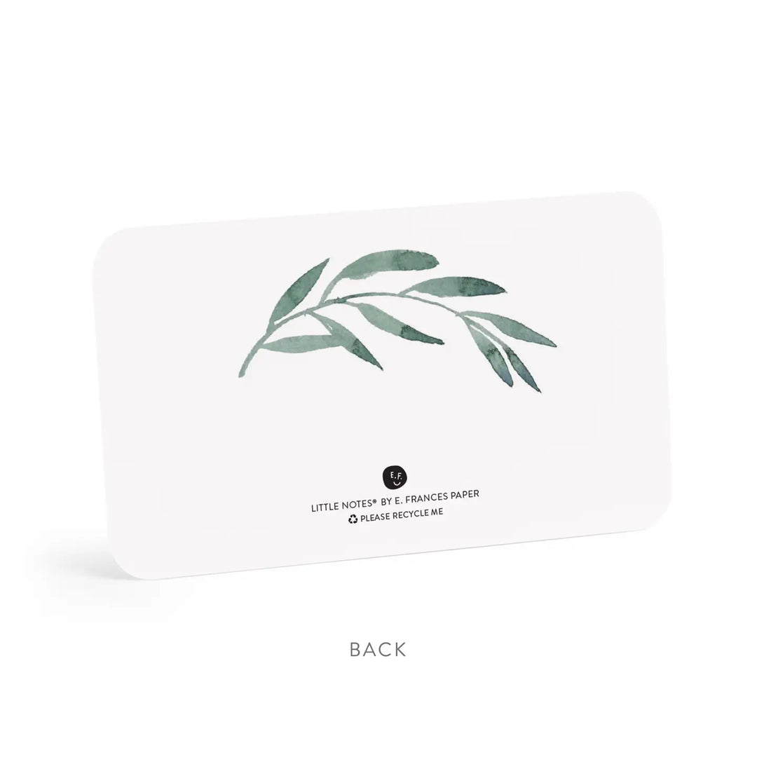 E. Frances Paper Cards Olive Branches Little Notes