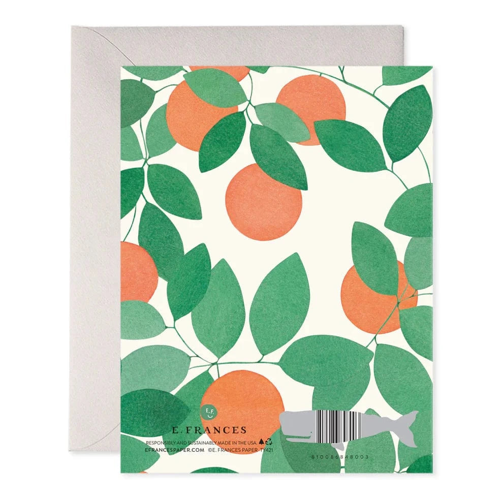 E. Frances Paper Cards Orange Grove Thank you Card