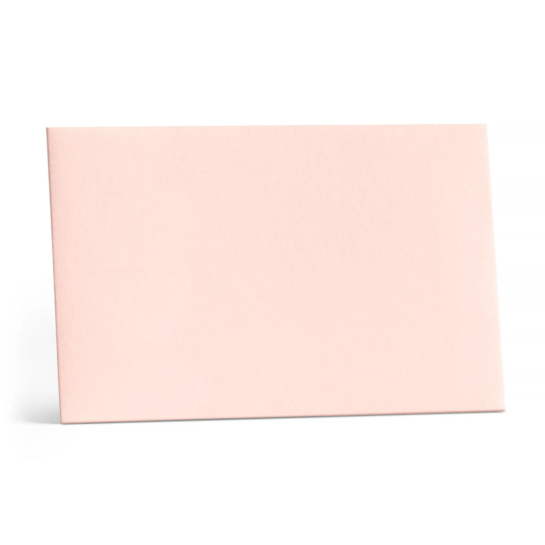 E. Frances Paper Paper Little Notes® Envelopes - Petal