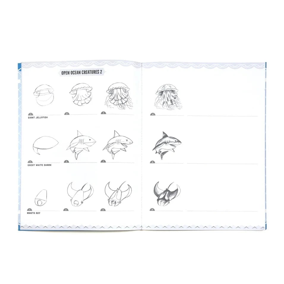 eeBoo Baby Learn To Draw Under the Sea with Stickers | eeBoo