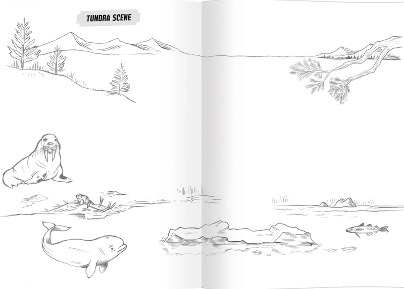 eeBoo Drawing Book Learn to Draw Wild Animals | eeBoo