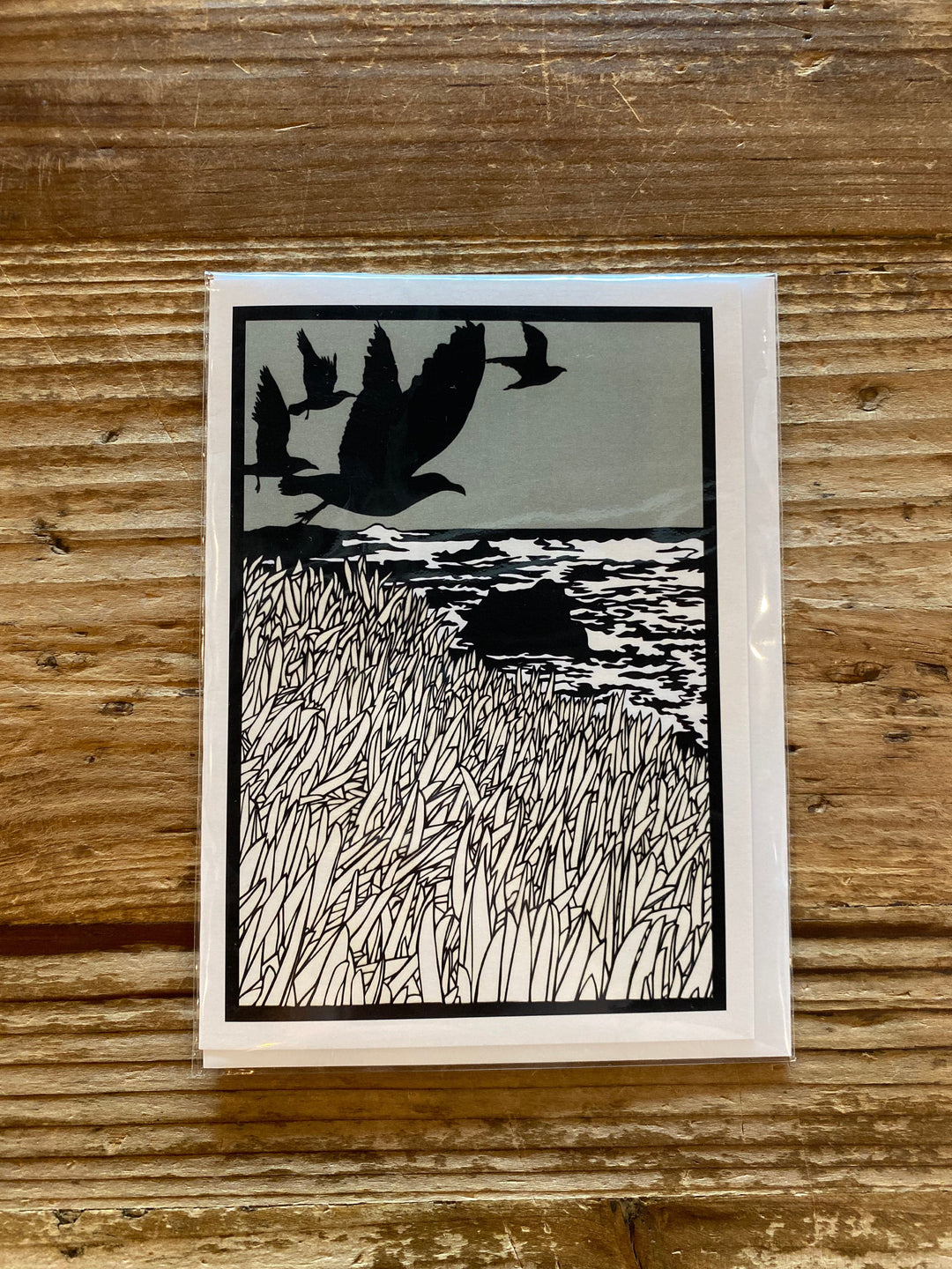 Elizabeth Vanduine Card That Seagull Sound