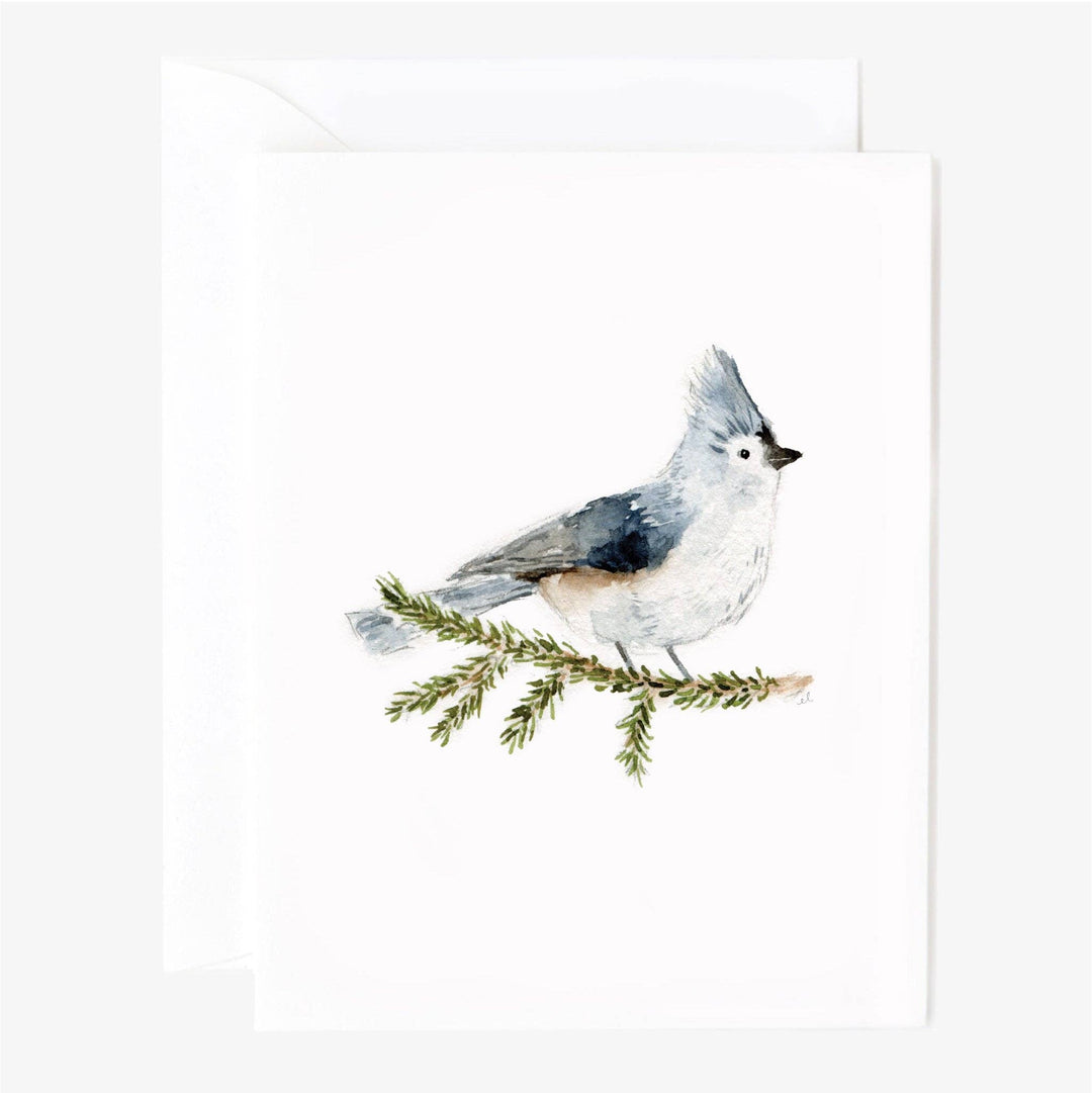 emily lex studio Boxed Set Notecard Set - Winter