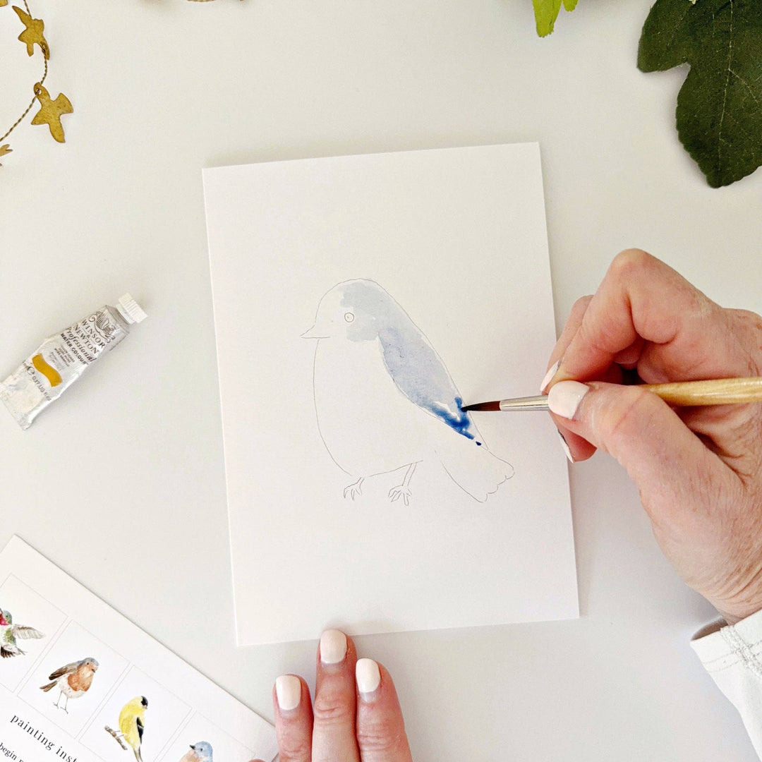 emily lex studio Cards Backyard birds paintable notecards