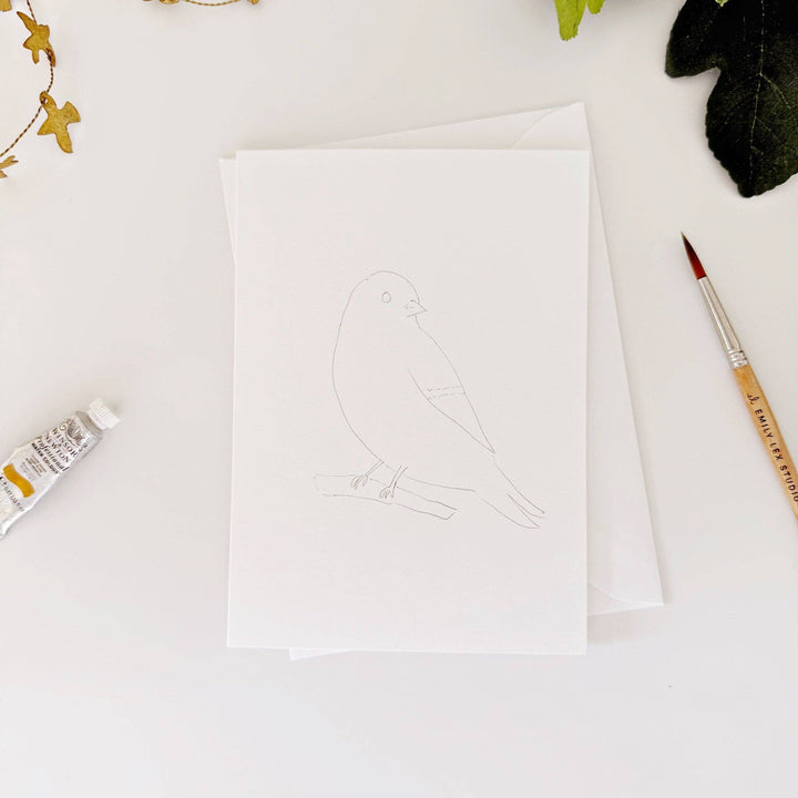 emily lex studio Cards Backyard birds paintable notecards