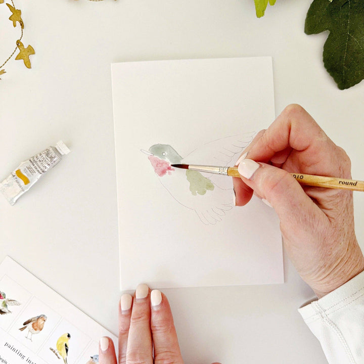 emily lex studio Cards Backyard birds paintable notecards