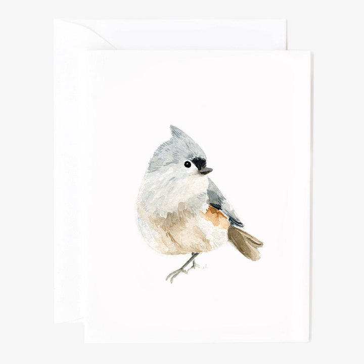 emily lex studio Cards Birds assorted notecard set