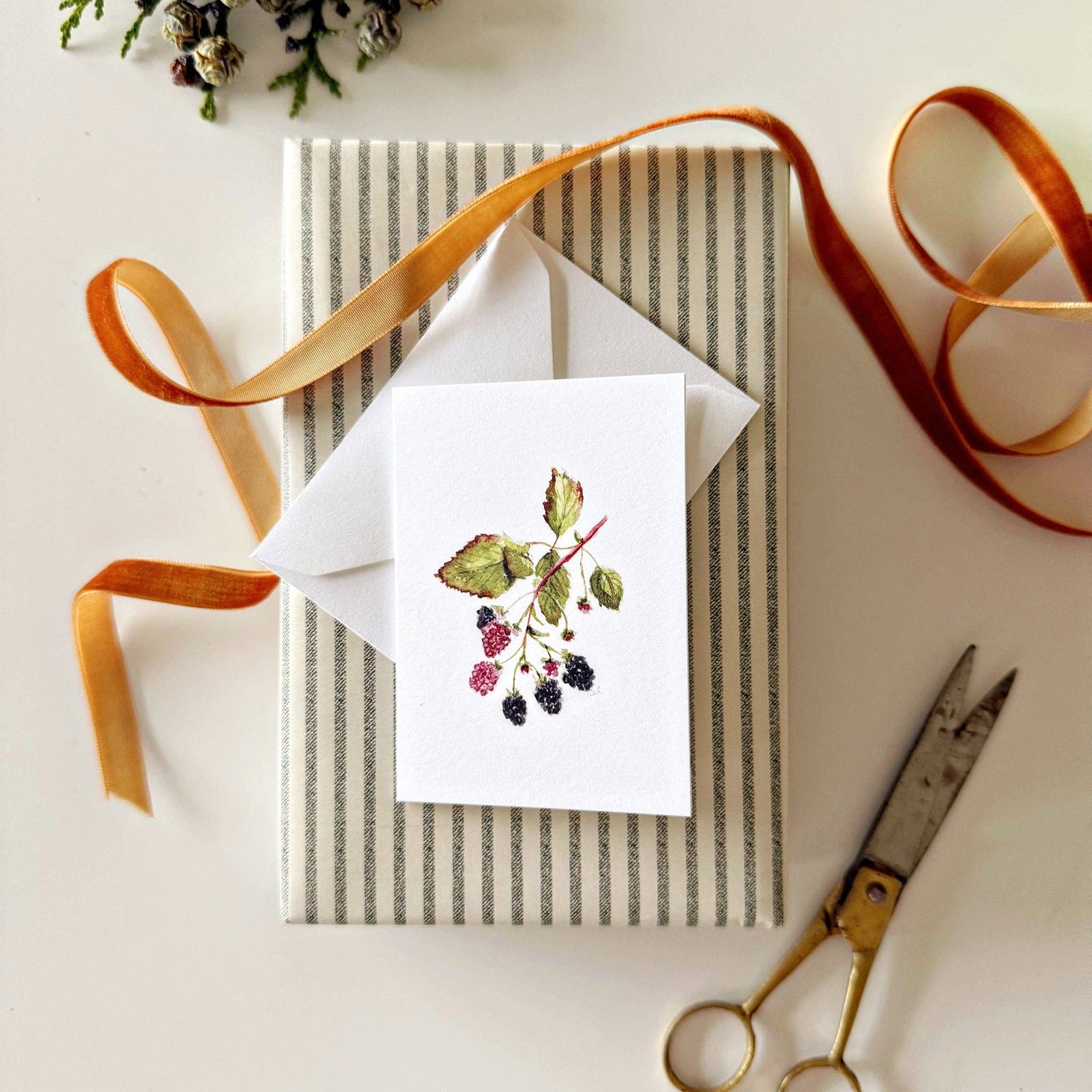 emily lex studio Cards Blackberry Mini Notecard