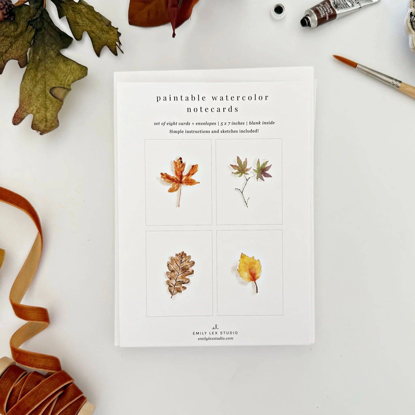 emily lex studio Cards Fall Leaves Paintable Watercolor Notecard Set