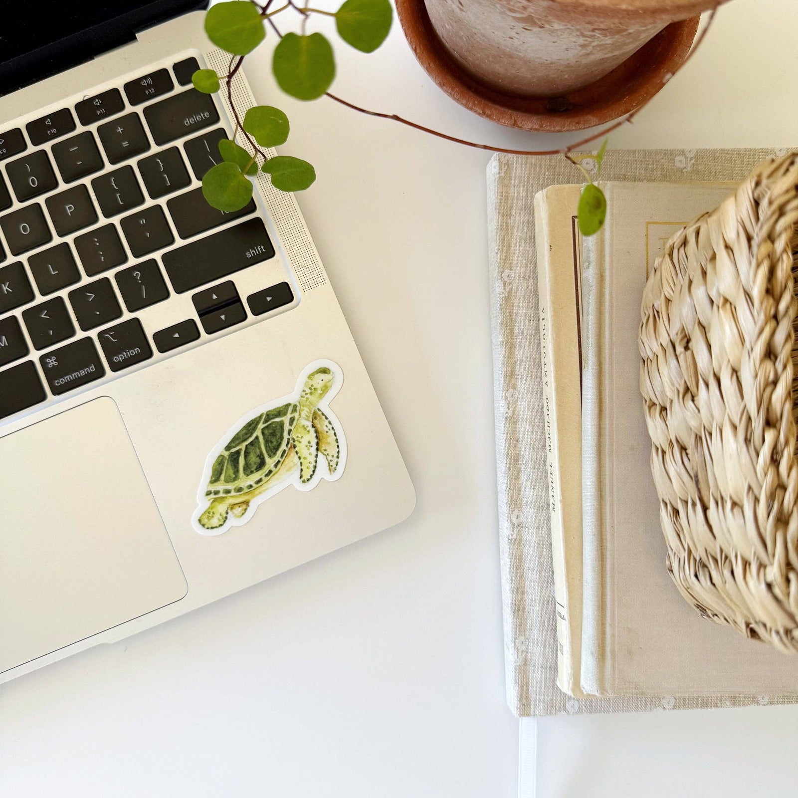 emily lex studio Cards Sea turtle sticker