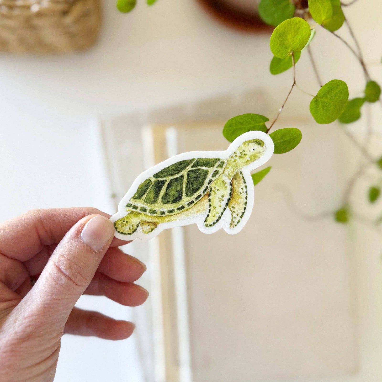 emily lex studio Cards Sea turtle sticker