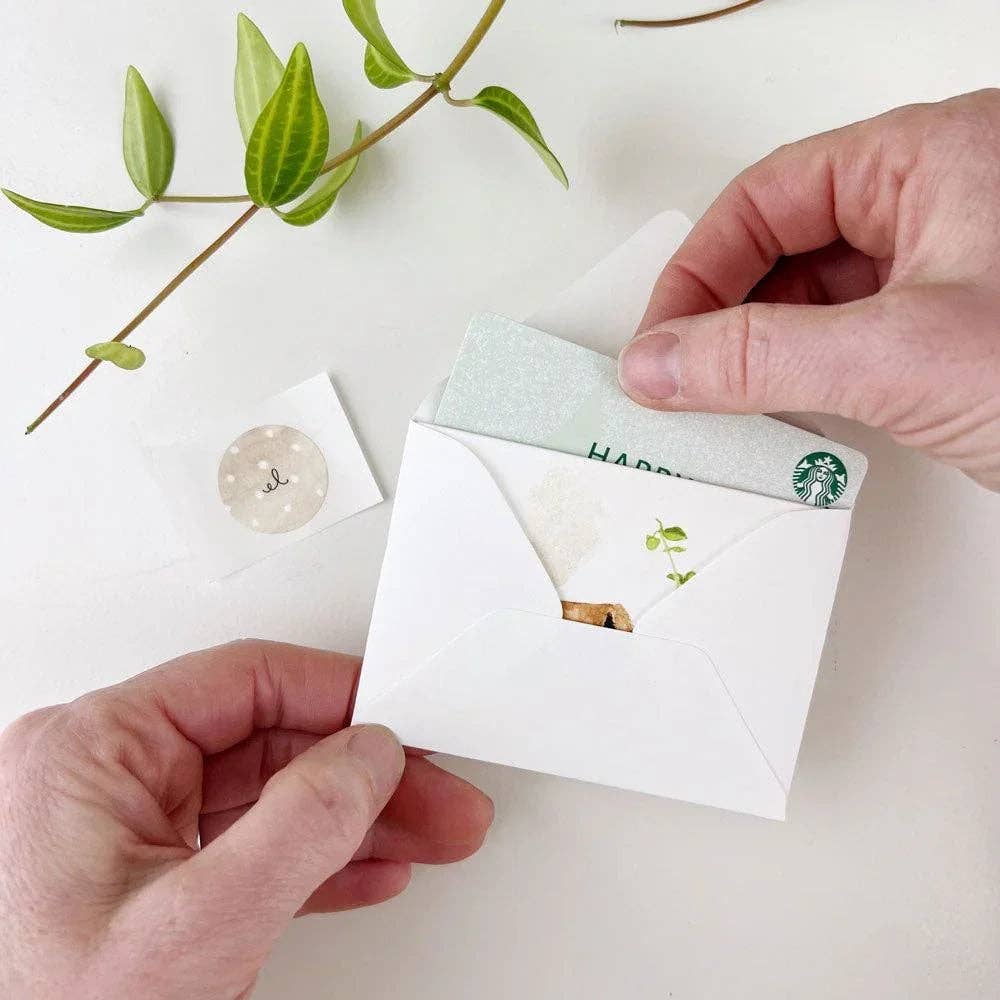 emily lex studio Cards Watercolor Paint Palette Mini Enclosure Notecard