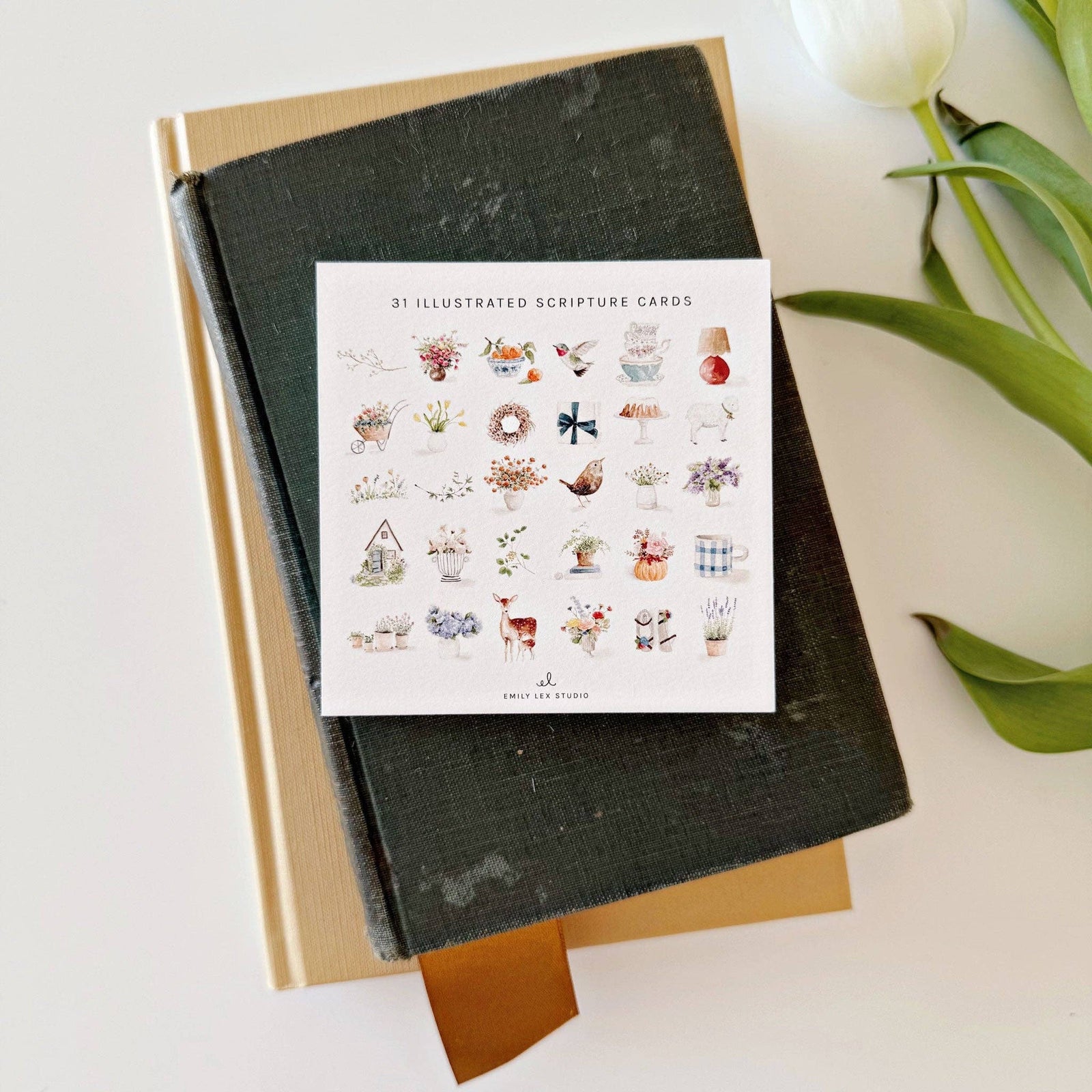 emily lex studio Gifts Truth for Today Psalms Cards