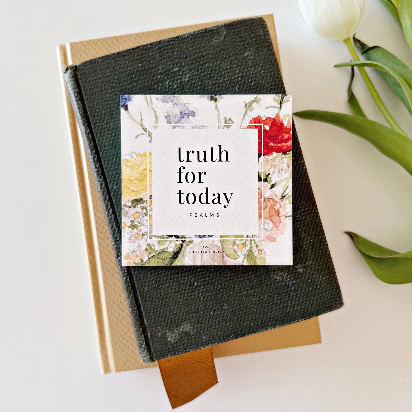emily lex studio Gifts Truth for Today Psalms Cards