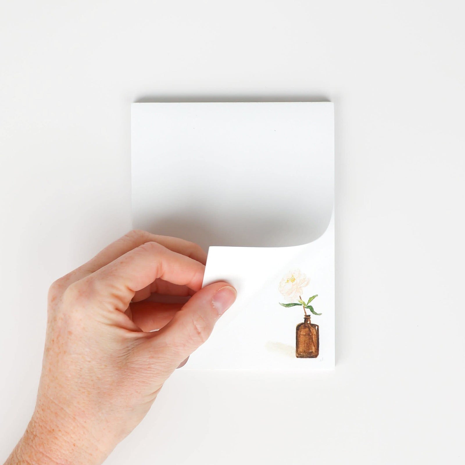 emily lex studio Paper Everyday Notepad - Peony