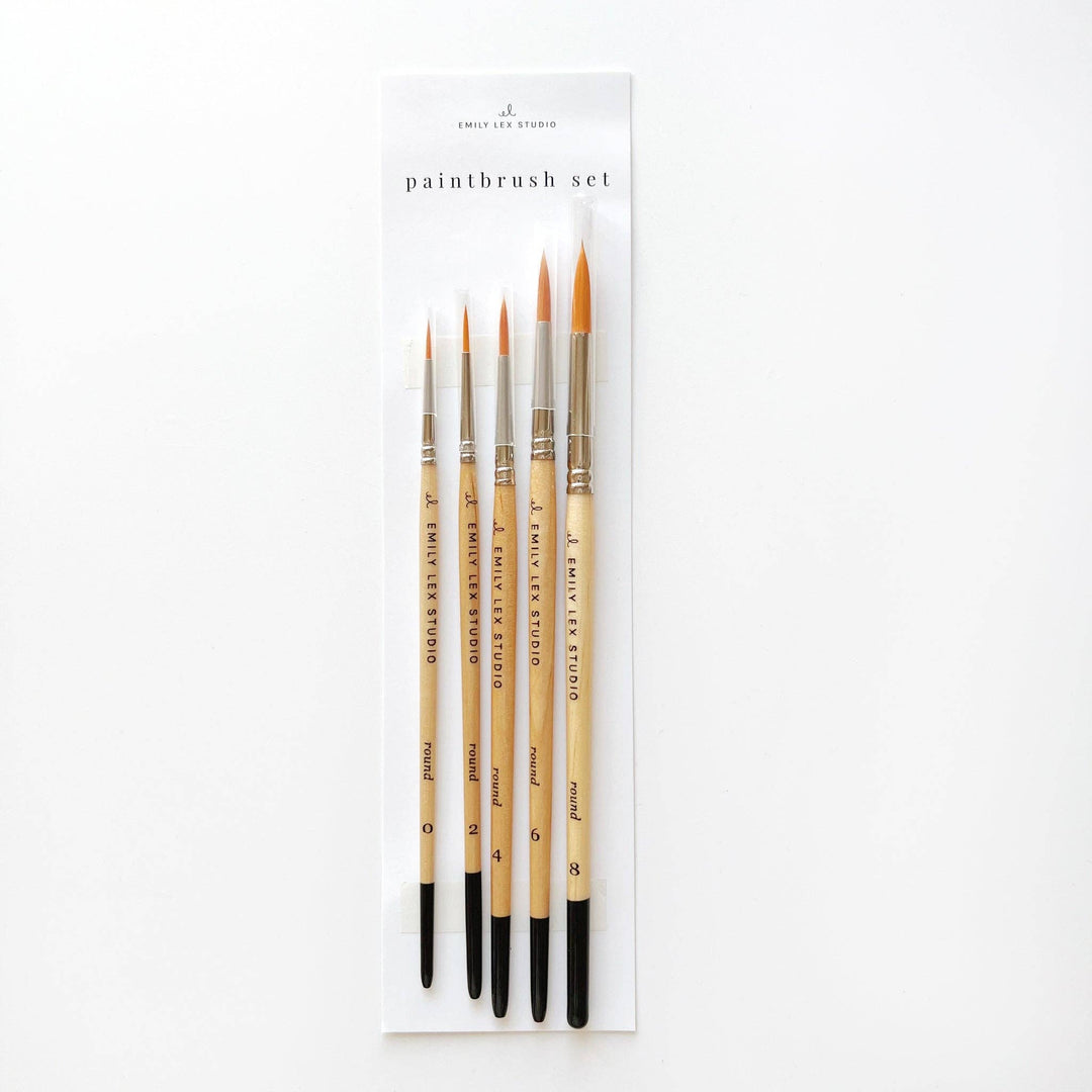 emily lex studio Watercolor paintbrush set