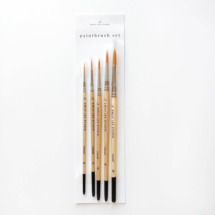 emily lex studio Watercolor paintbrush set